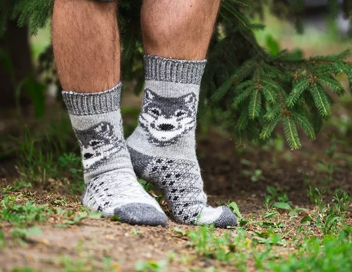 Носки мужские шерстяные Волк, серые, арт.N6R76-2, р.41-43 по цене 