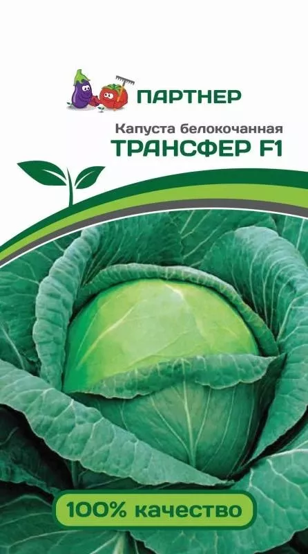 Семена Капуста белокочанная раннеспелая Трансфер F1 0,2 гр Партнер 