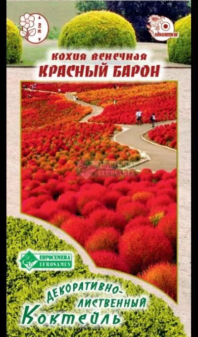 ОсновноеИзображение