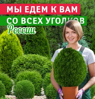 Молодые, стройные, зелёные едут в "ДАРВИН"