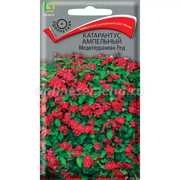 Семена Катарантус ампельный Медитерранеан Ред 10 шт  Поиск 