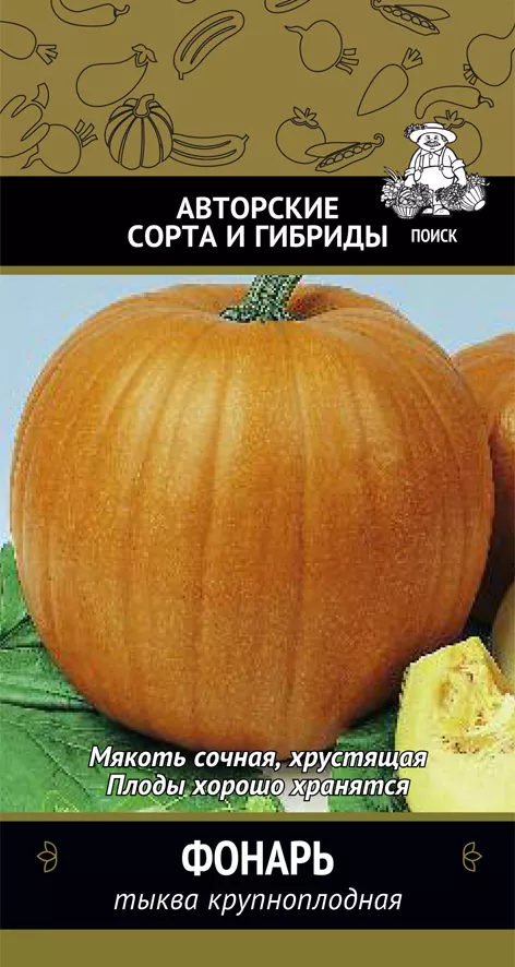 Семена тыква крупноплодная Фонарь А 10шт Поиск 