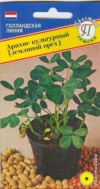 Семена арахис кульурный (земляной орех) 5шт Престиж 