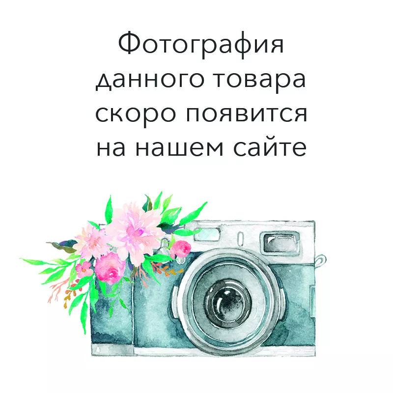 Секвойядендрон гигантский Пиери v5 h40-50 Mt 