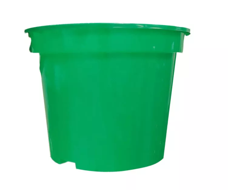 ОсновноеИзображение