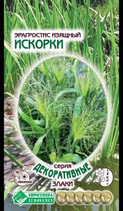 ОсновноеИзображение