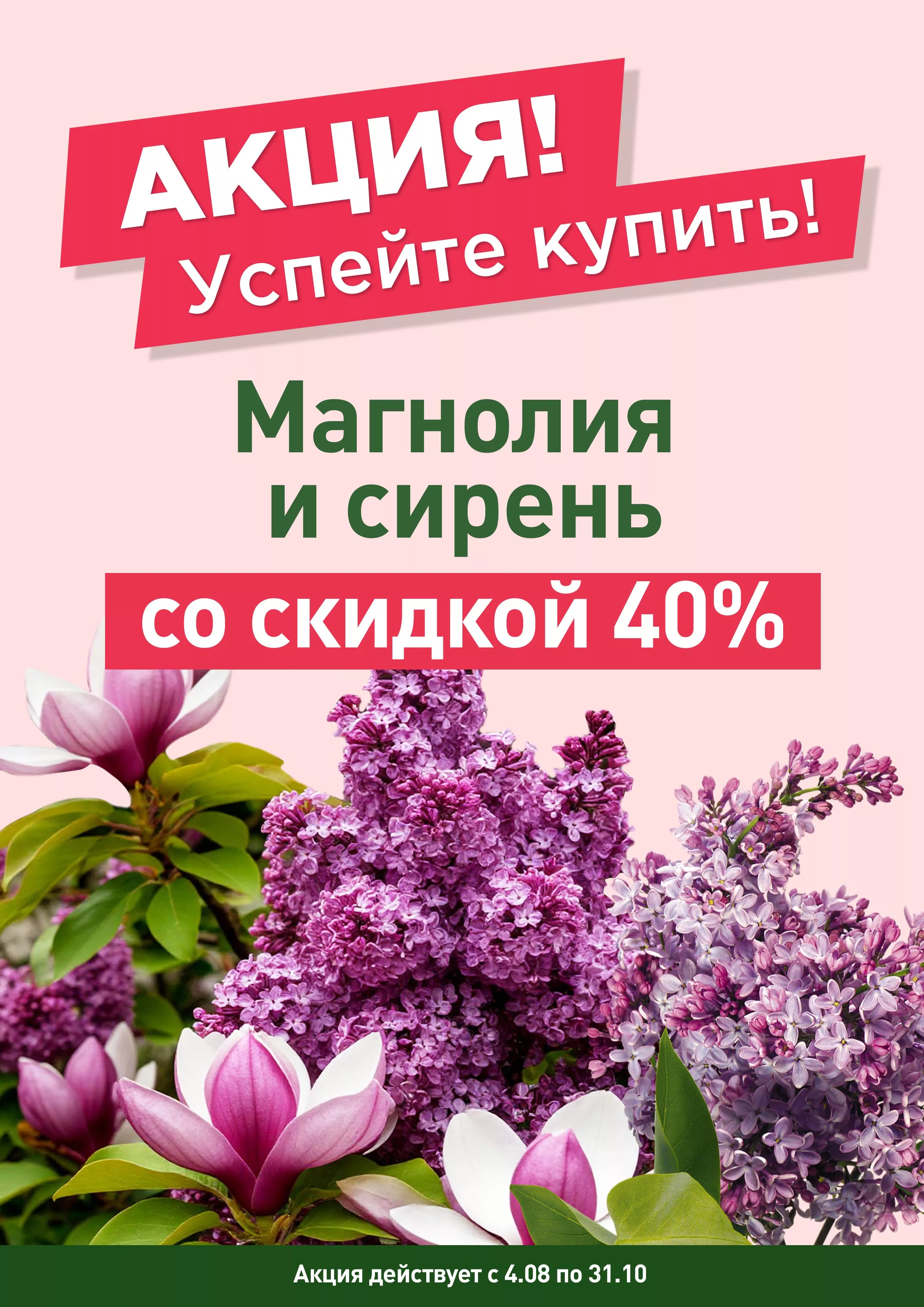 Магнолия и Сирень со скидкой 40%