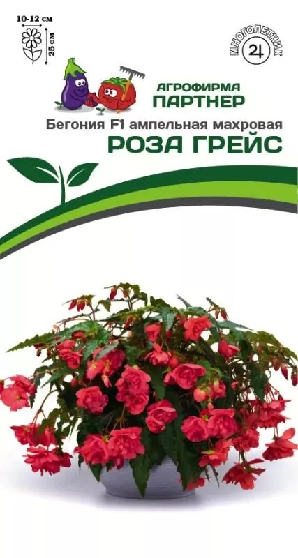 Семена Бегония клубневидная ампельная махровая F1 Роза Грейс 5 шт.Партнер 