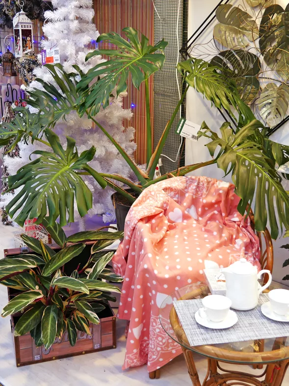 Монстера D-30 Tim 