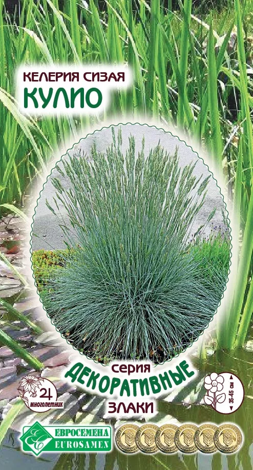 ОсновноеИзображение