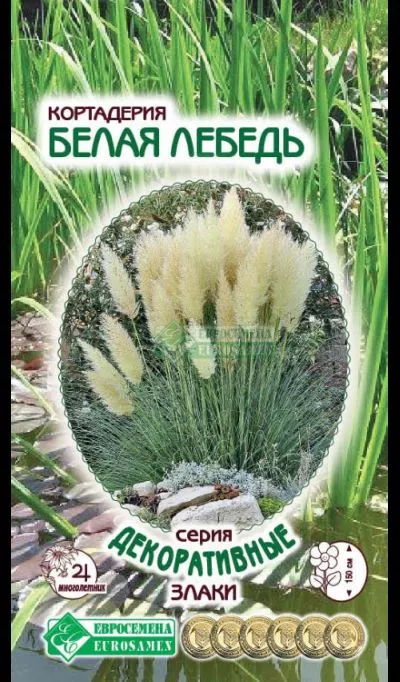 ОсновноеИзображение