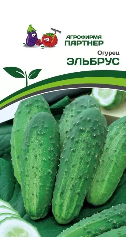 Семена Огурец пчелоопыляемый Эльбрус 1 гр. Партнер 