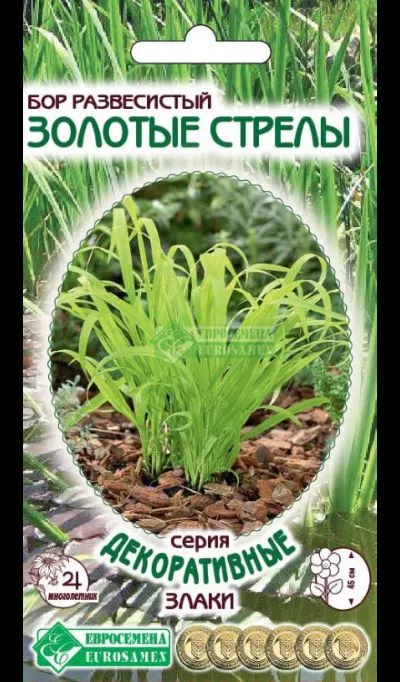 ОсновноеИзображение