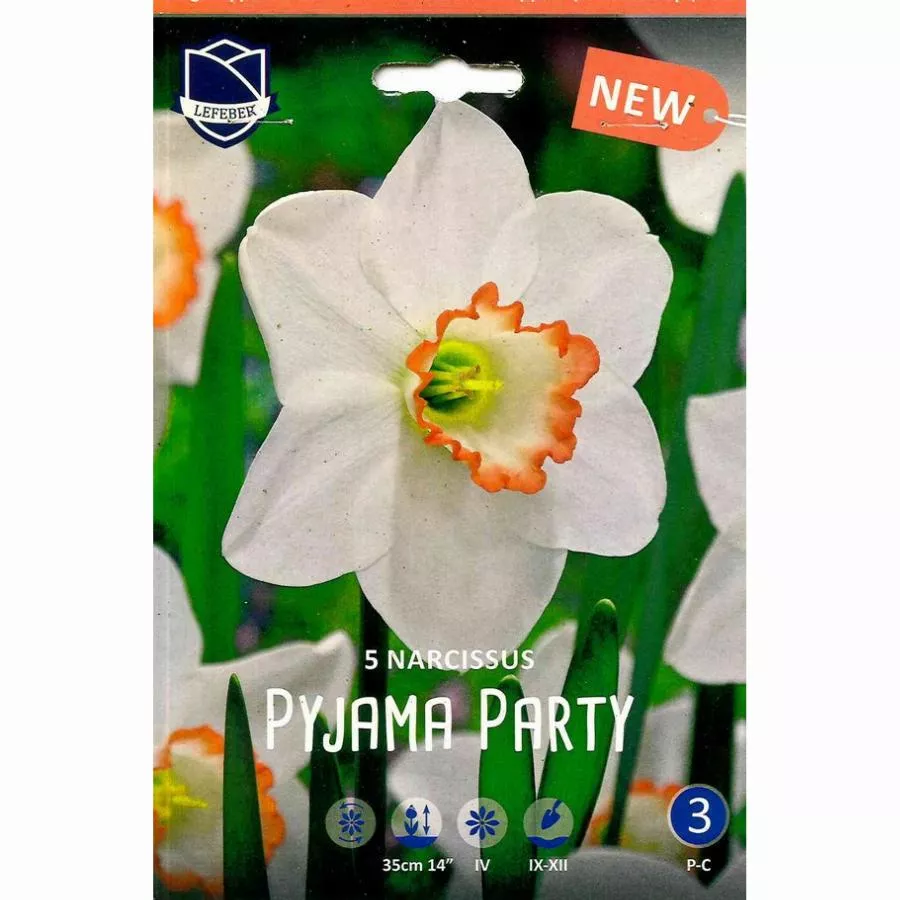 Луковица Нарцисс Пижама Пати 12-14, 5 шт/уп 