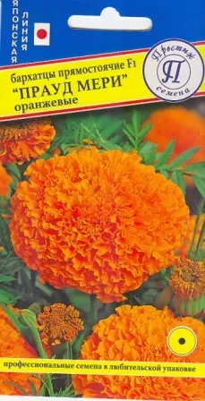 Семена Бархатцы прямостоячие  Прауд Мэри Оранжевые F1, 5 шт Престиж 