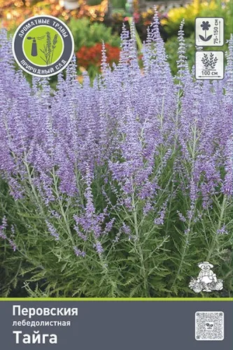 Кореневище Перовския лебедолистная Тайга 1шт Поиск 