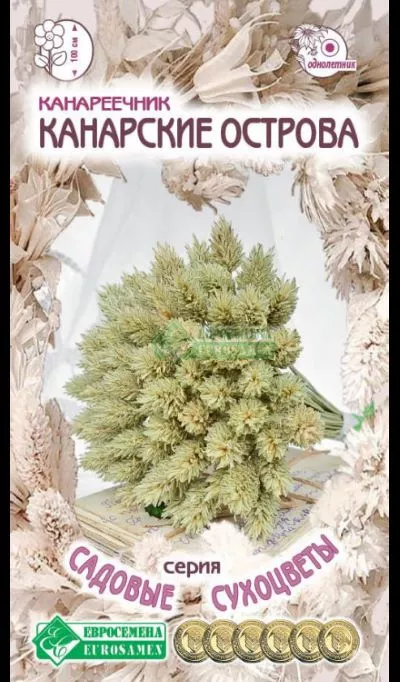 ОсновноеИзображение