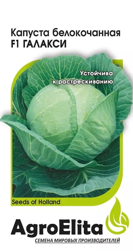 Семена Капуста белокоч. Галакси F1 10 шт., Гавриш 