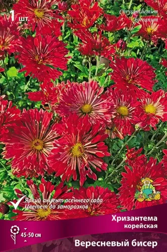 ОсновноеИзображение