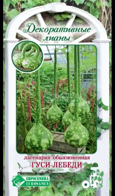 ОсновноеИзображение