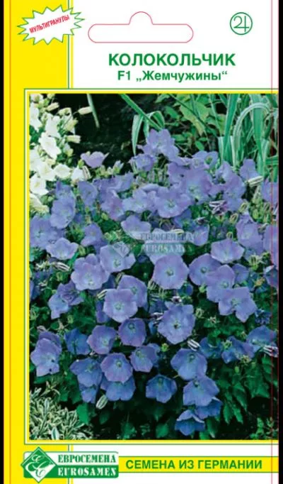 ОсновноеИзображение