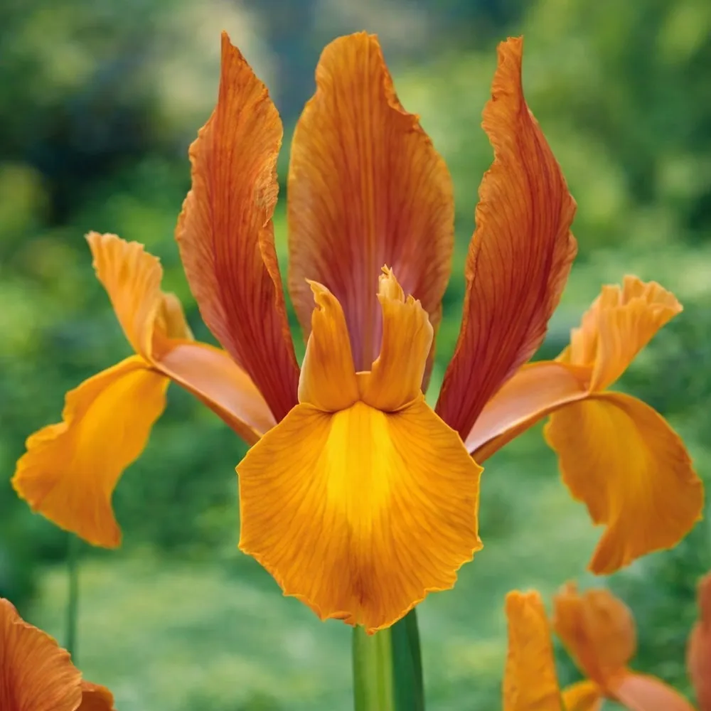 file_00000000e818720c899c327e3981ed6a