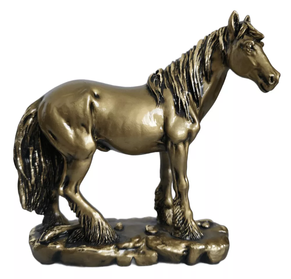 ОсновноеИзображение