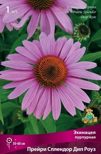 ОсновноеИзображение