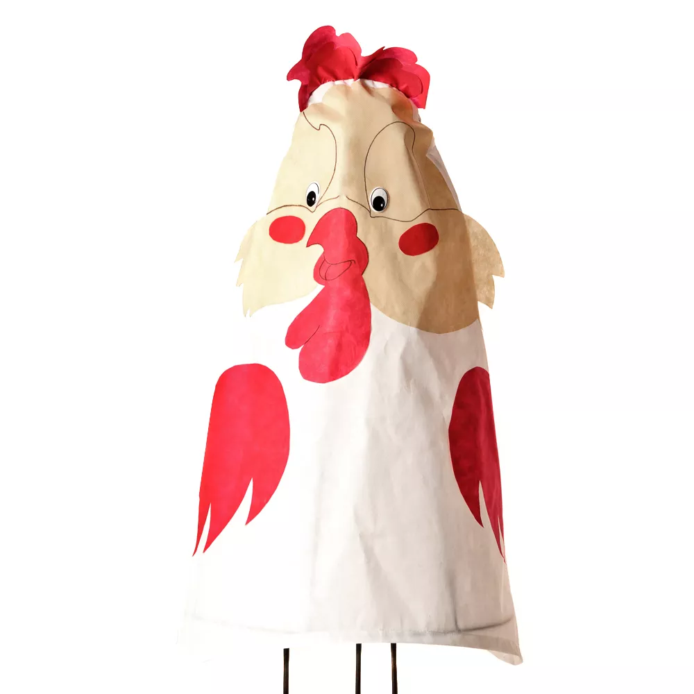 Основное изображение