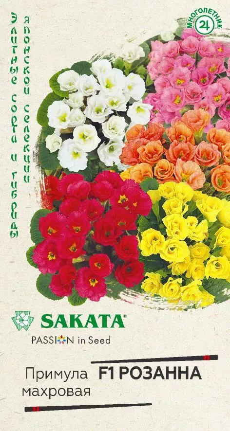 Семена примула Розанна F1 махровая, смесь 4шт Гавриш 
