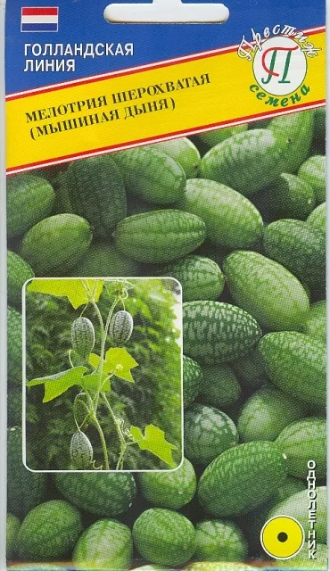 Семена мелотрия шероховатая 10шт Престиж 