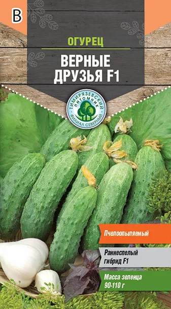 Семена Tim/огурец Верные друзья пчел F1*т (для засолки) 10шт 