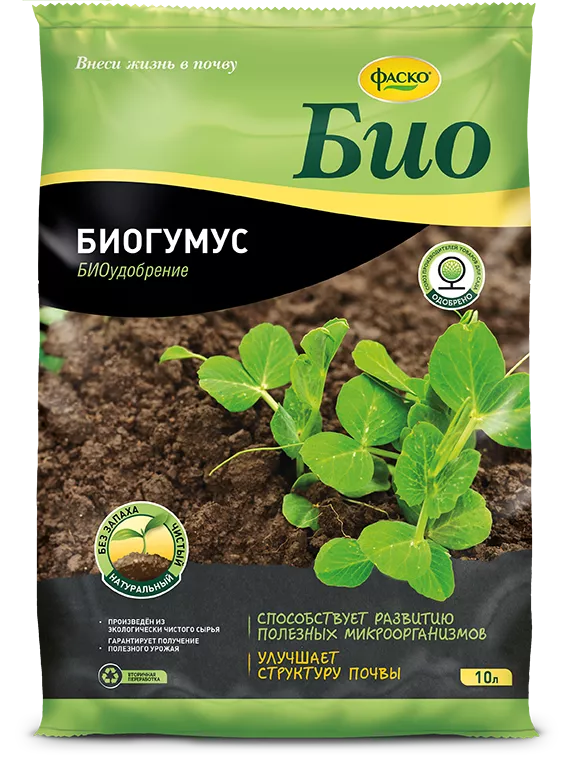 Основное изображение