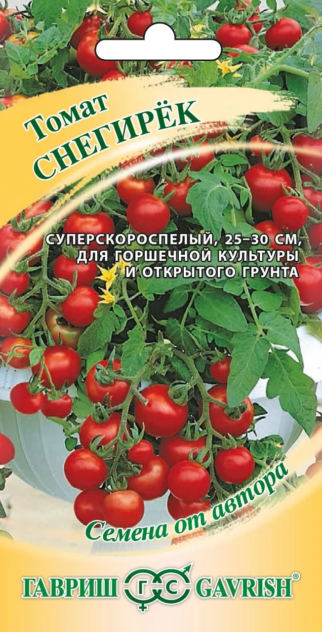 Основное изображение