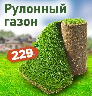 Рулонный газон уже в продаже! Торопитесь.