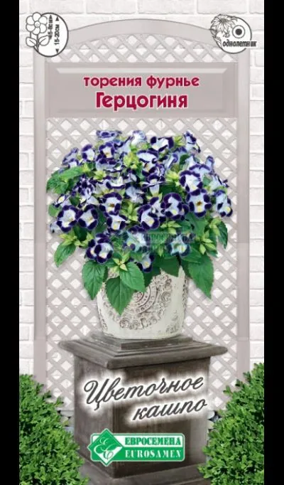 ОсновноеИзображение