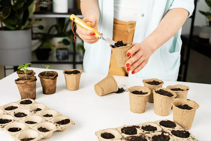 Какие семена сажать на рассаду в апреле: список овощей