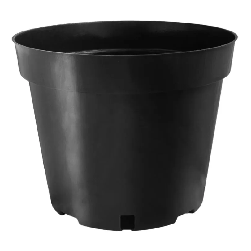 ОсновноеИзображение