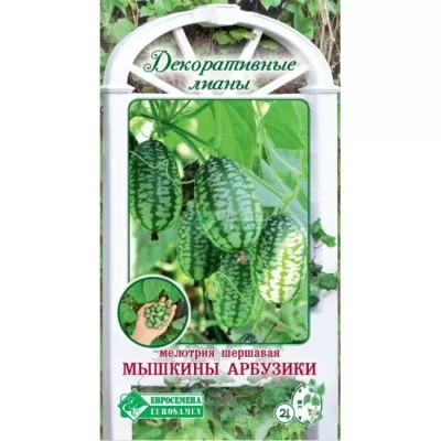 ОсновноеИзображение