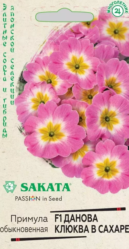 Семена Примула Данова клюква в сахаре F1,  5 шт. Гавриш 