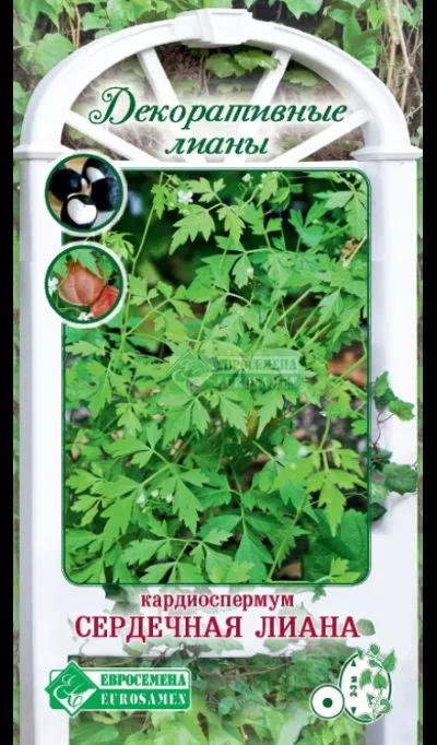 ОсновноеИзображение