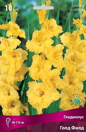Клубень Гладиолус крупноцветковый Голд Филд 10/12 10шт Поиск 