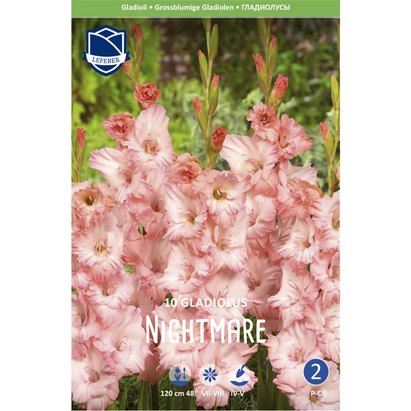 Луковица Гладиолус Найтмер 14/16 10шт 