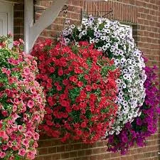 Сурфиния 3,7Л - d23 ХН 