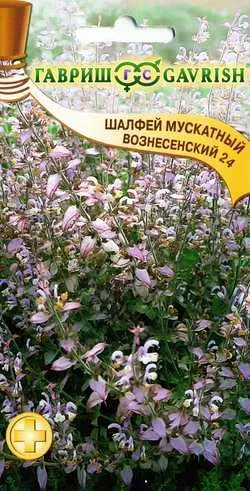 Семена шалфей мускатный Вознесенский 0,3г Гавриш 