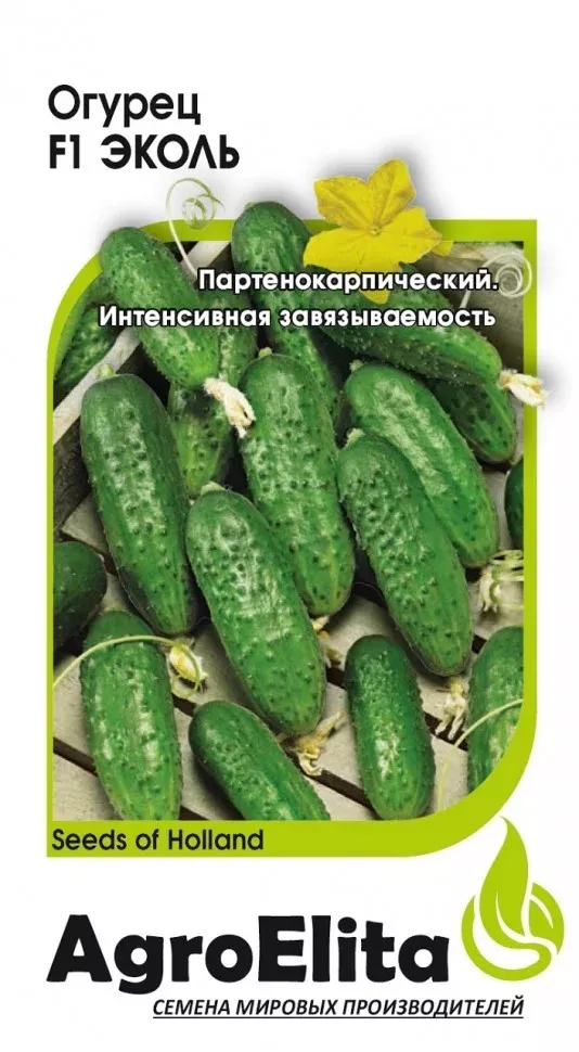 Семена Огурец партенокарпический Эколь F1 5 шт. Гавриш 
