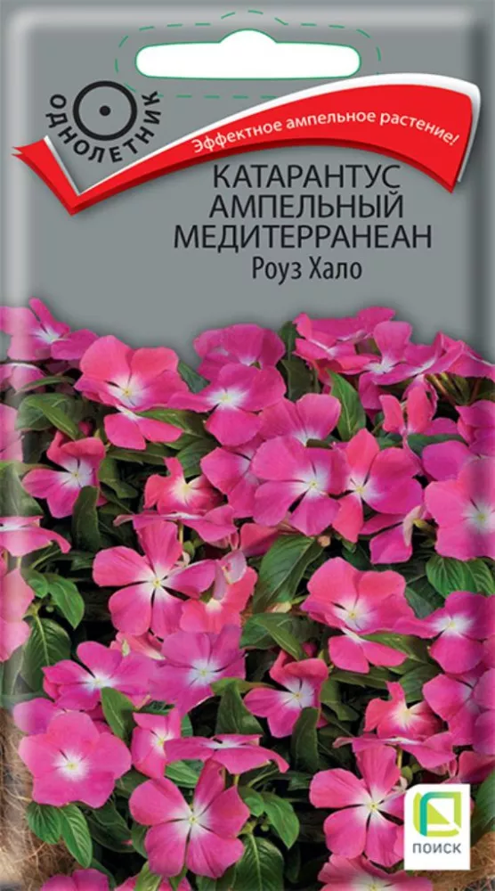 Семена Катарантус ампельный Медитерранеан Роуз Хало 10 шт  Поиск 