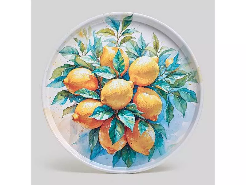 Поднос сервировочный Агнесс Цитрусовое очарование 33x2,1см, сталь арт.898-244 по цене 