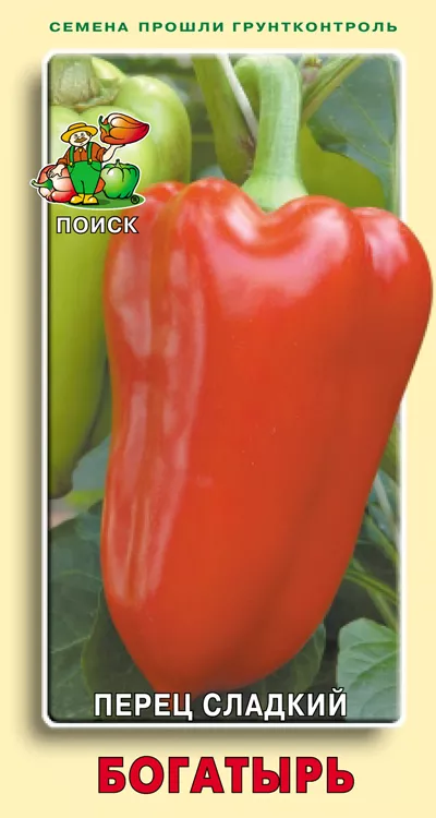 Основное изображение