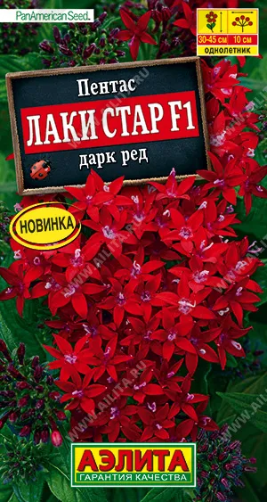 Семена пентас Лаки стар F1 дарк ред драже 3шт ПанАмерикан Сид, Аэлита 